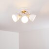 Banjul Plafondlamp Hout licht, Wit, 3-lichts