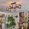 Gastor Plafondlamp, Kogellampje Duidelijk, Rookkleurig, 6-lichts