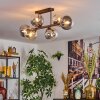Gastor Plafondlamp, Kogellampje Amber, Duidelijk, Rookkleurig, 6-lichts