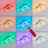 Eriz Plafondlamp LED Nikkel mat, 4-lichts, Afstandsbediening, Kleurwisselaar