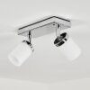 Cerejeiras Plafondlamp LED Chroom, 2-lichts, Afstandsbediening, Kleurwisselaar