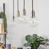 Quento Hanger Zwart-Goud, 4-lichts