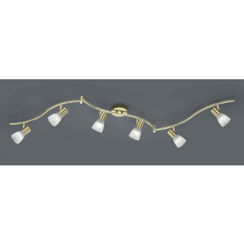 Trio verlichting LEVISTO Plafondspot, Muurspot LED Messing, 6-lichts