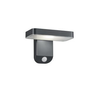 Reality Esquel Muurlamp LED Antraciet, 1-licht, Bewegingsmelder