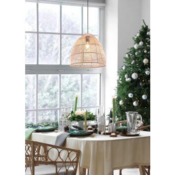 Reality Rike Hanger Zwart, 1-licht