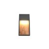 Trio verlichting SALMON Wandlamp LED Hout licht, 1-licht
