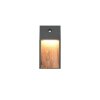 Trio verlichting SALMON Wandlamp LED Hout licht, 1-licht, Bewegingsmelder