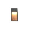 Trio verlichting SALMON Wandlamp LED Hout licht, 1-licht, Bewegingsmelder