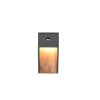 Trio verlichting SALMON Wandlamp LED Hout licht, 1-licht, Bewegingsmelder