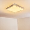 Voisines Plafondpaneel LED Wit, 1-licht, Afstandsbediening, Kleurwisselaar