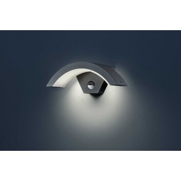 Trio verlichting Wandleuchte Wandlamp voor buiten LED Antraciet, 1-licht, Bewegingsmelder