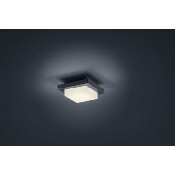 Trio verlichting Decken- Plafondlamp, Wandlamp LED Antraciet, 1-licht