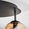 Gastor Plafondlamp, Kogellampje 45 cm Amber, Duidelijk, Rookkleurig, 5-lichts