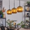 Koyoto Hanglamp, Kogellampje, Hanglamp Goud, 3-lichts