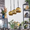 Ripoll Hanglamp, Kogellampje, Hanglamp Goud, 3-lichts