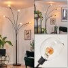 Nikkala Staande lamp Zwart, 5-lichts