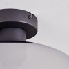Apedo Plafondlamp, Kogellampje Duidelijk, Rookkleurig, 1-licht