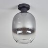 Apedo Plafondlamp Duidelijk, Rookkleurig, 1-licht