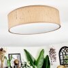 Antillo Plafondlamp Bruin, Natuurlijke kleuren, Wit, 3-lichts