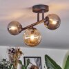Chehalis Plafondlamp, Kogellampje Amber, Rookkleurig, 3-lichts