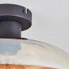 Mertola Plafondlamp Amber, Duidelijk, 1-licht