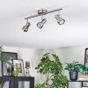 Edain Plafondlamp, Plafondspot LED Chroom, Nikkel mat, 3-lichts