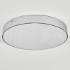 Elmar Plafondlamp LED Zilver, 1-licht
