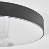 Elmar Plafondlamp LED Zwart, 1-licht