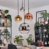 Ripoll Hanglamp, Kogellampje, Cluster hanglamp Chroom, Goud, Duidelijk, Koperkleurig, Rookkleurig, 4-lichts
