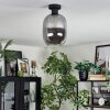 Apedo Plafondlamp Rookkleurig, 1-licht