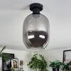 Apedo Plafondlamp Rookkleurig, 1-licht