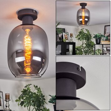 Apedo Plafondlamp Rookkleurig, 1-licht