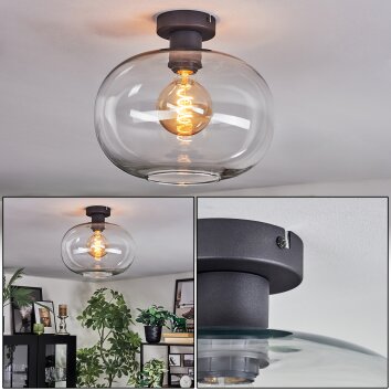 Apedo Plafondlamp Duidelijk, 1-licht