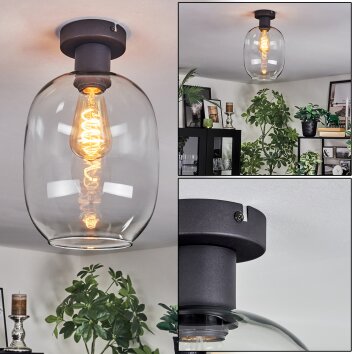 Apedo Plafondlamp Duidelijk, 1-licht
