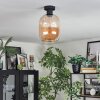 Apedo Plafondlamp Amber, 1-licht