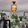 Apedo Plafondlamp Amber, 1-licht