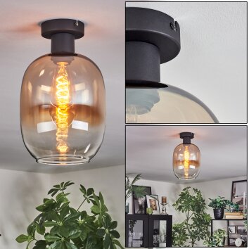 Apedo Plafondlamp Amber, Duidelijk, 1-licht
