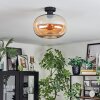 Apedo Plafondlamp Amber, 1-licht