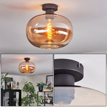 Apedo Plafondlamp Amber, 1-licht