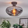 Mertola Plafondlamp Rookkleurig, 1-licht