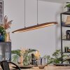 Fugelsta Hanglamp, Hanglamp LED Zwart, 1-licht