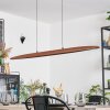 Fugelsta Hanglamp, Hanglamp LED Zwart, 1-licht