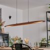 Fugelsta Hanglamp, Hanglamp LED Zwart, 1-licht