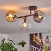 Gastor Plafondlamp, Kogellampje Amber, Duidelijk, Rookkleurig, 3-lichts
