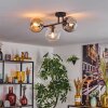 Gastor Plafondlamp, Kogellampje Amber, Duidelijk, Rookkleurig, 3-lichts