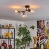 Gastor Plafondlamp, Kogellampje Duidelijk, 3-lichts