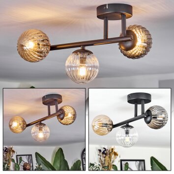 Chehalis Plafondlamp, Kogellampje Amber, Duidelijk, Rookkleurig, 3-lichts