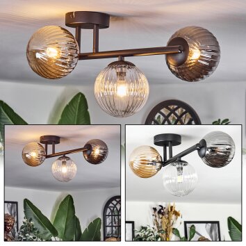 Chehalis Plafondlamp, Kogellampje Amber, Duidelijk, Rookkleurig, 3-lichts