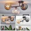 Chehalis Plafondlamp, Kogellampje Amber, Duidelijk, Rookkleurig, 3-lichts