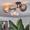 Chehalis Plafondlamp, Kogellampje Amber, Duidelijk, Rookkleurig, 3-lichts